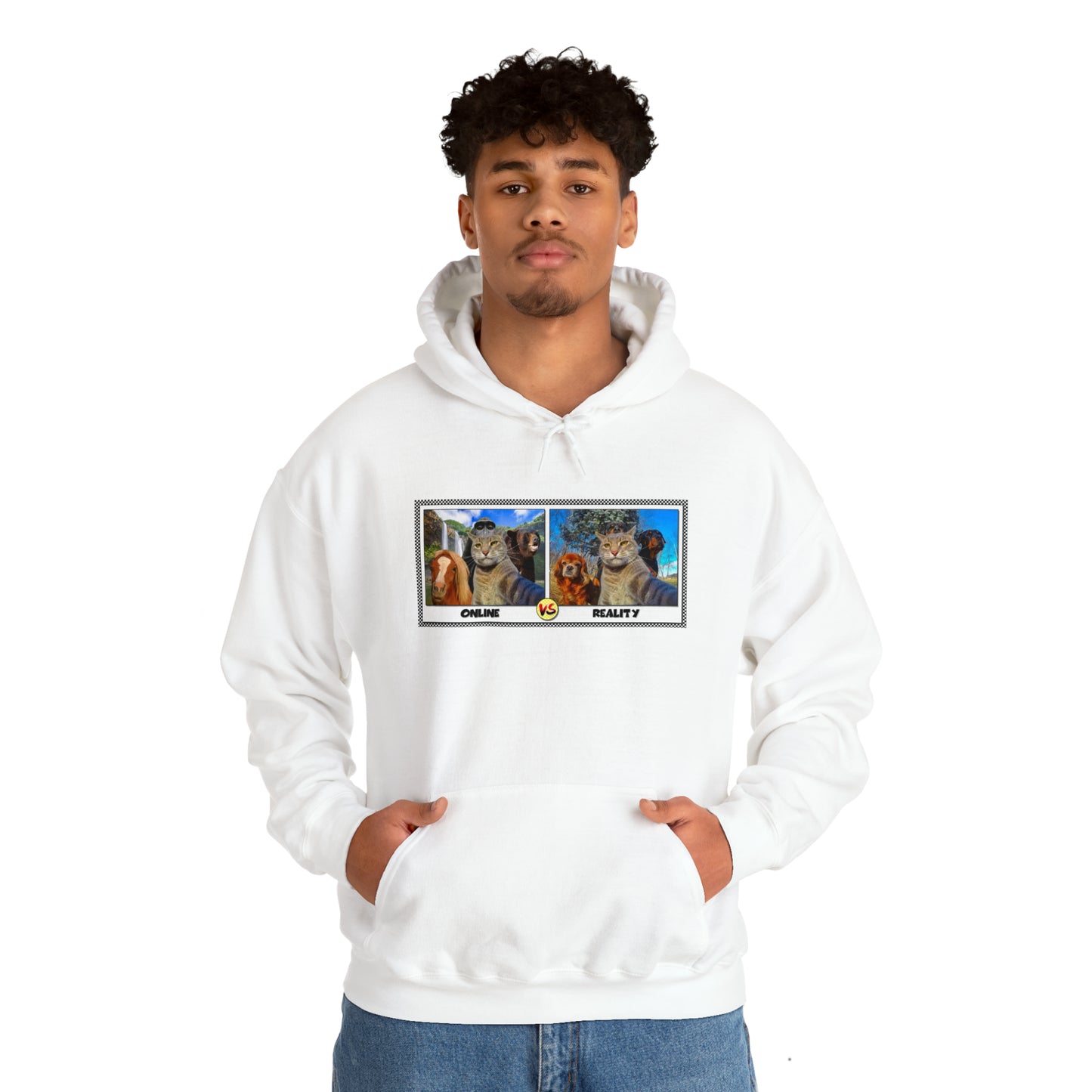 Manny The Selfie Cat Online vs Reality Hoodie
