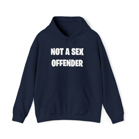 Not A Sex Offender Hoodie